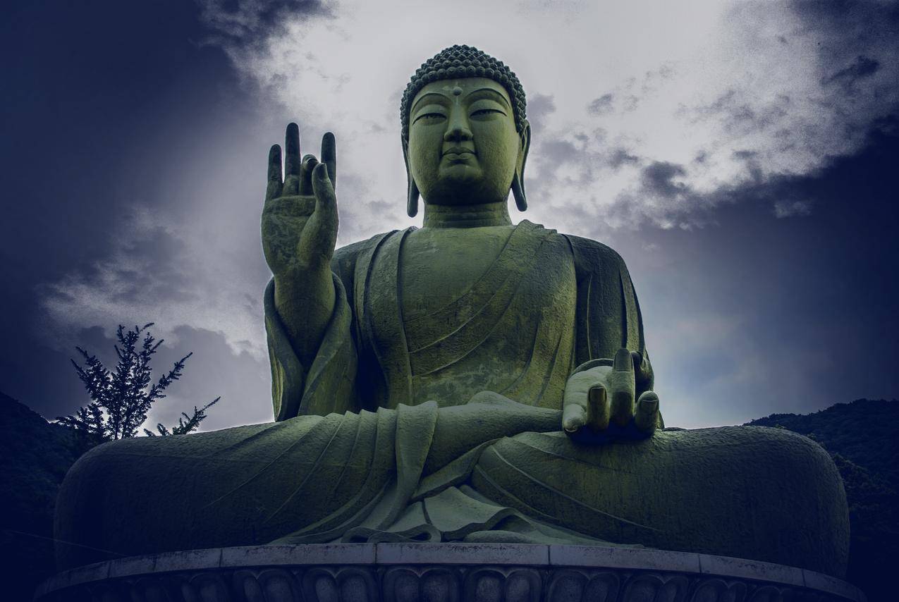 抖音双击自助平台24小时全网最低,梓豪网络24小时秒单业务平台,0.1元100000赞网站